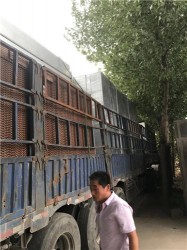 發(fā)貨現(xiàn)場(chǎng)